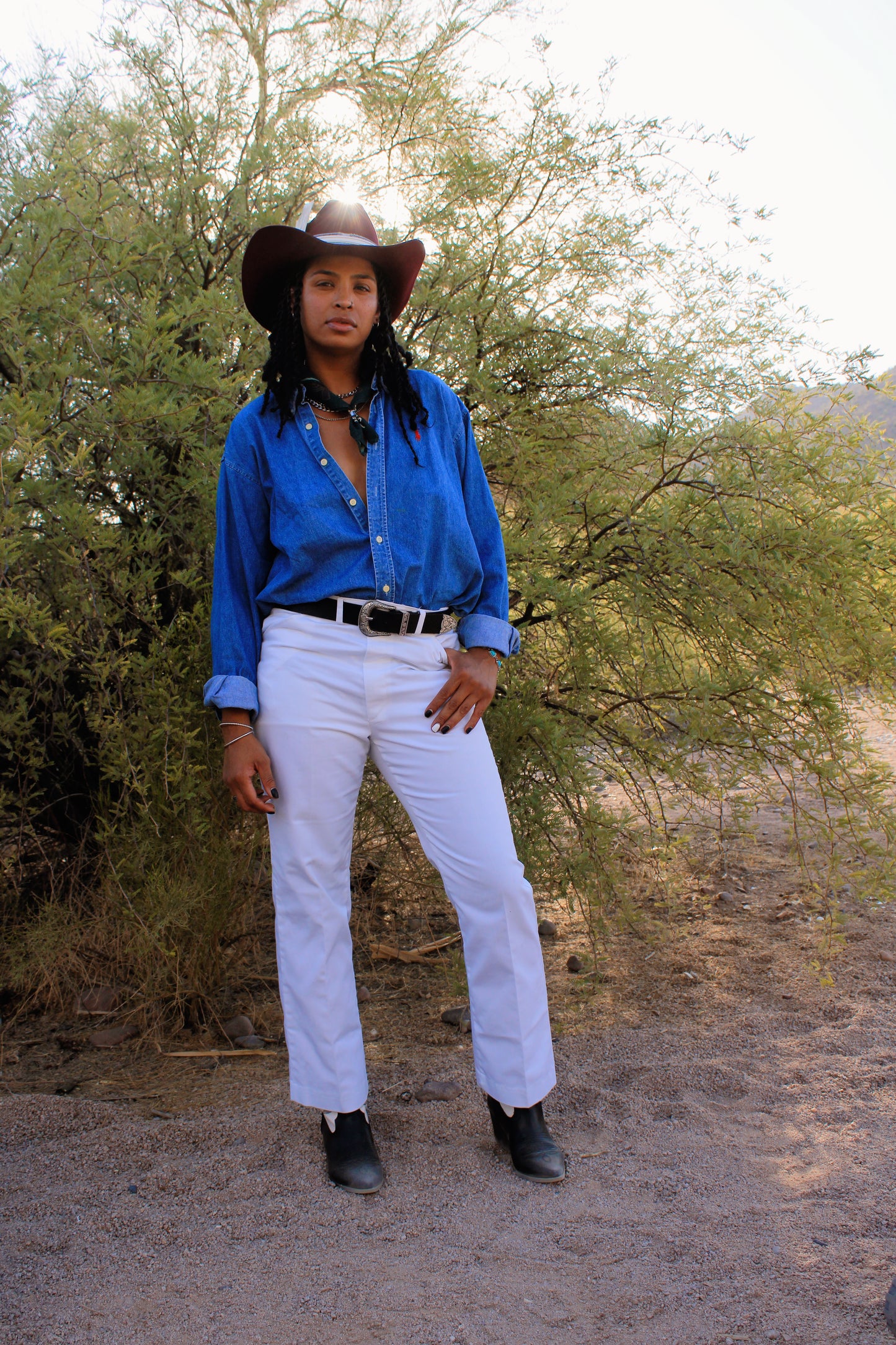 CLASSIC RANCHER IN BLOOM